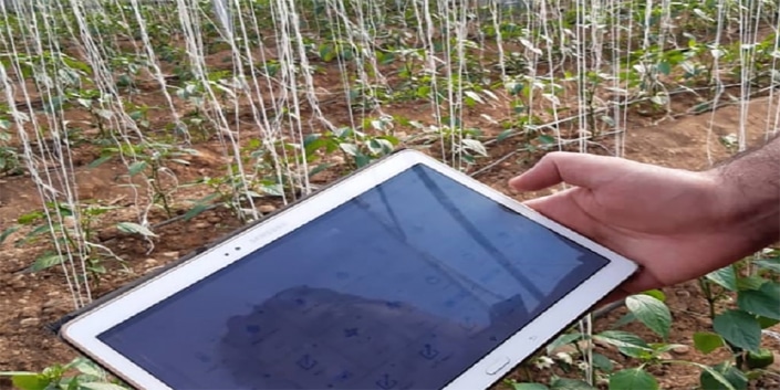 greenhouse+tablet
