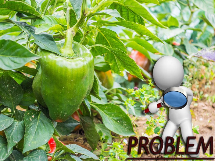 problem